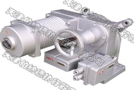 DKJ-210BYM Explosion Proof Electrical Integration Actuator