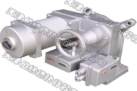 DKJ-310BYM Explosion Proof Electrical Integration Actuator